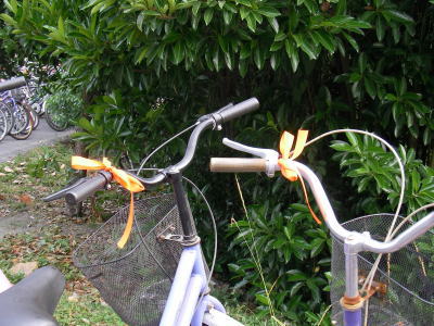 浙江科技学院